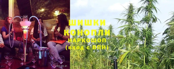 PSILOCYBIN Магас