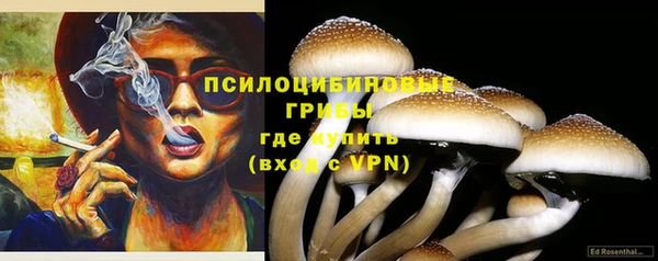 а пвп мука Лиски